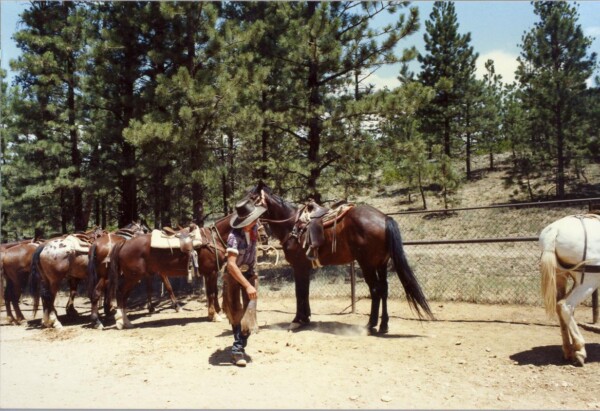 90SouthDakota-bryce-horse 23
