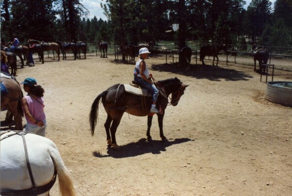 90SouthDakota-bryce-horse 24