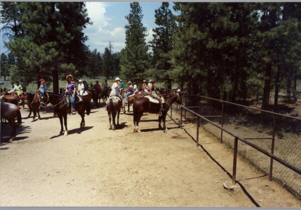 90SouthDakota-bryce-horse 26