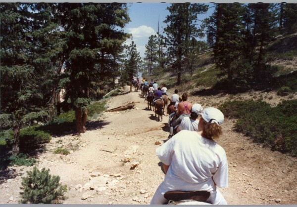 90SouthDakota-bryce-horse 27