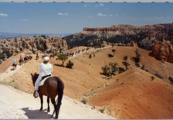 90SouthDakota-bryce-horse 28