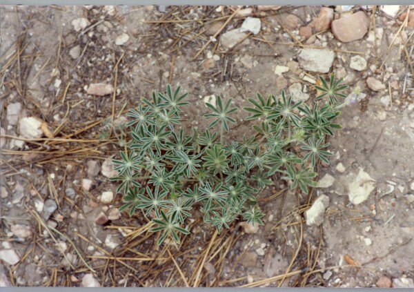 90SouthDakota-north-grand-canyon 03