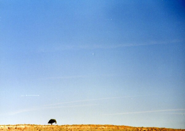 96BNEA ArizonaPaintedDesert 1