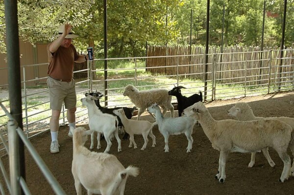 BNEAokcBruceTeaching 143