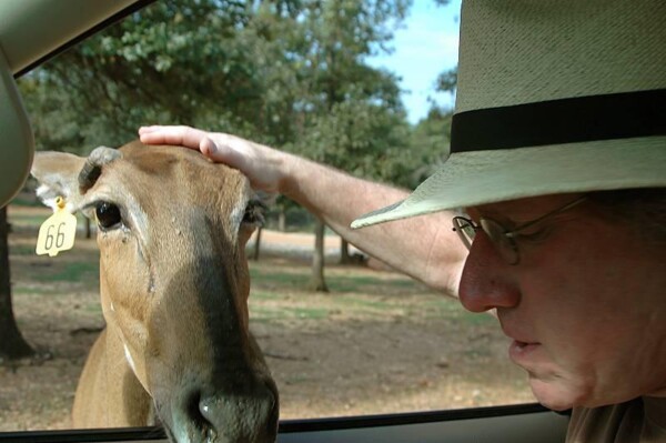 wBNEAokcBruceAnimal 011