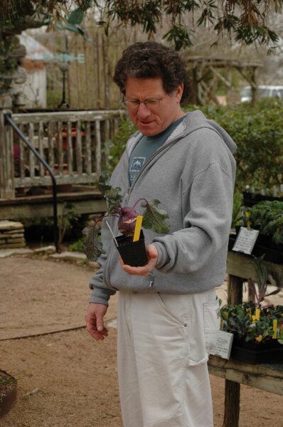 H006houston-Antique-Rose-Emporium 6