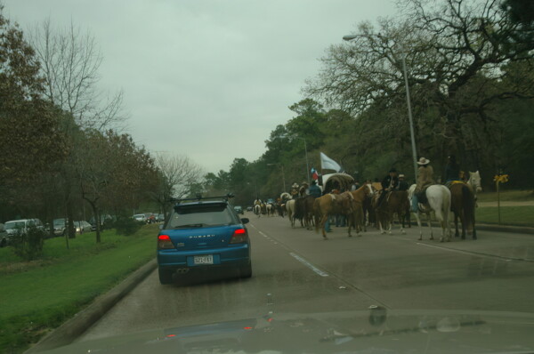 H06houston-Big-Horse-Ride 4