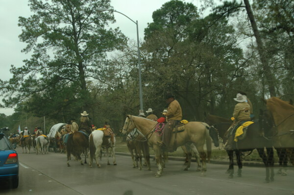 H06houston-Big-Horse-Ride 8