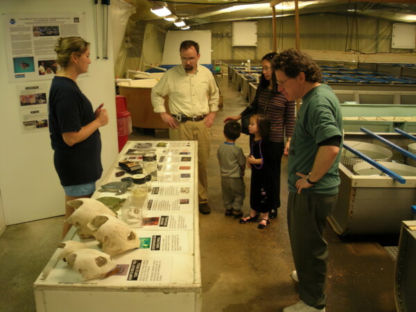 H06houstonSea-Turtle-Facility- 01