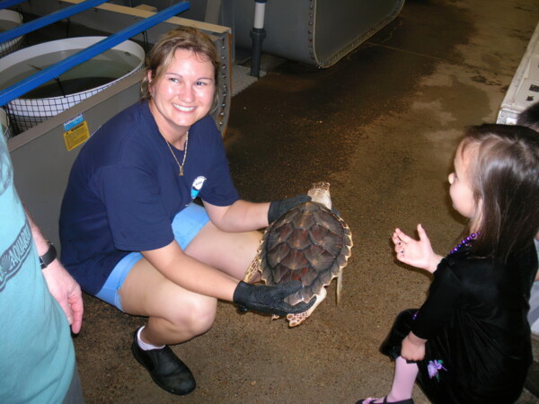 H06houstonSea-Turtle-Facility- 03