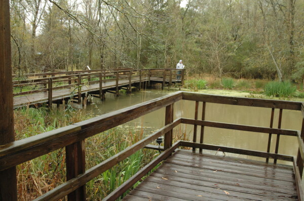 H06huston-Armand-Bayou-Nature-Center 06