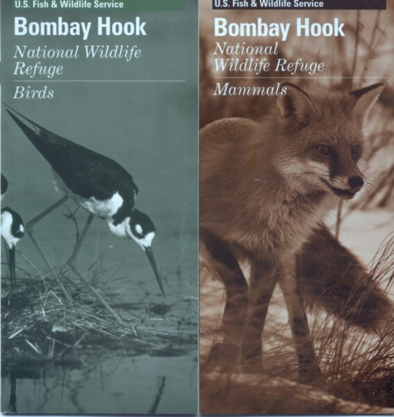 BNEA 07-Maryland 07-2