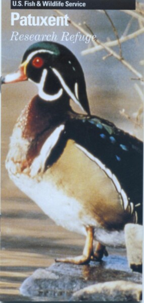 BNEA 07-Maryland 10-2