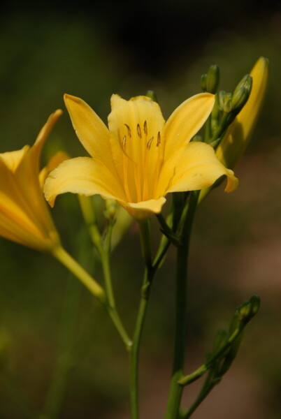 w07BNEA Baltimore 01