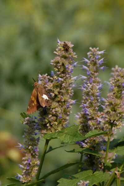 w07BNEA Baltimore 02