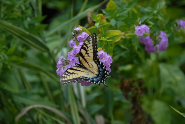 w07BNEA Baltimore 03