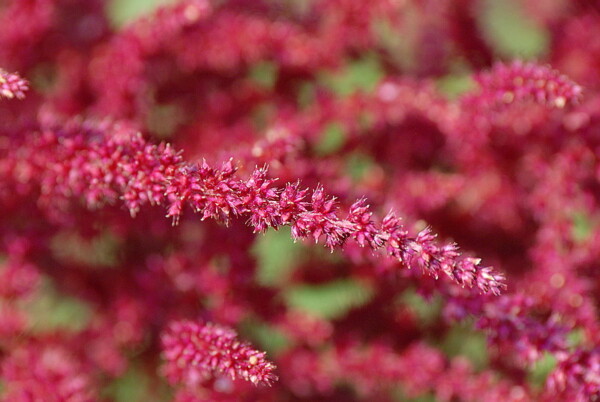 w07BNEA Baltimore 04