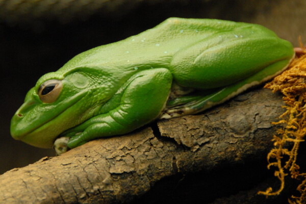 w07BNEA Baltimore 05