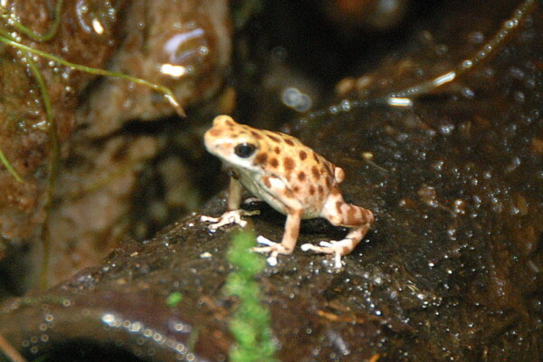 w07BNEA Baltimore 06