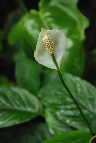 w07BNEA Baltimore 07