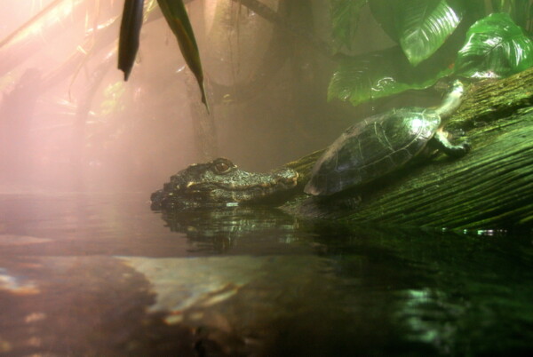 w07BNEA Baltimore 08