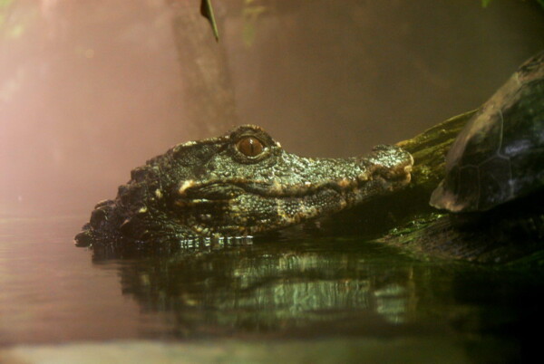 w07BNEA Baltimore 09