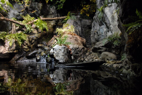 w07BNEA Baltimore 10