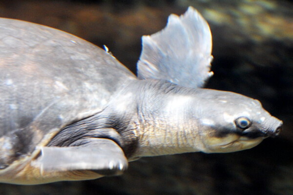 w07BNEA Baltimore 11