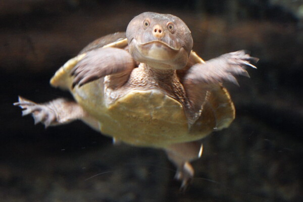 w07BNEA Baltimore 12