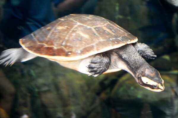 w07BNEA Baltimore 13