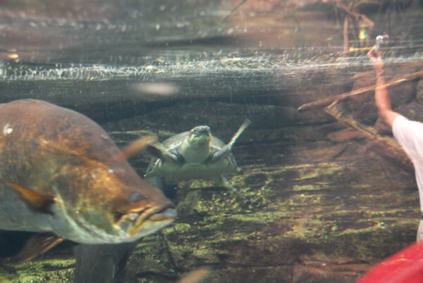 w07BNEA Baltimore 14