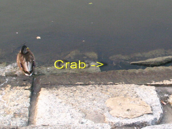 w07BNEA Baltimore 20