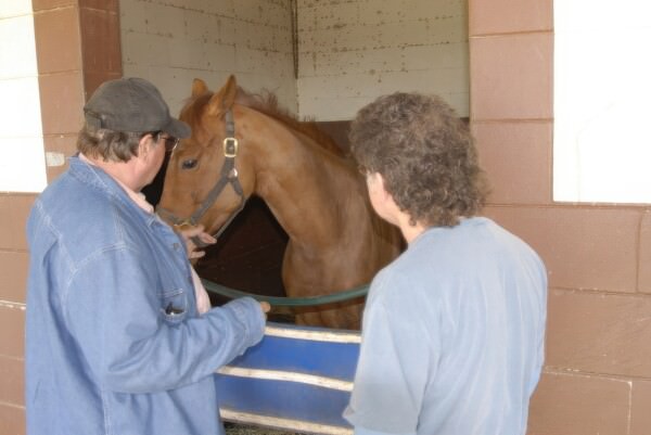 07BNEA FL horsefarm 42