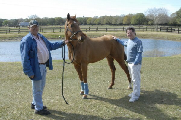 07BNEA FL horsefarm 52