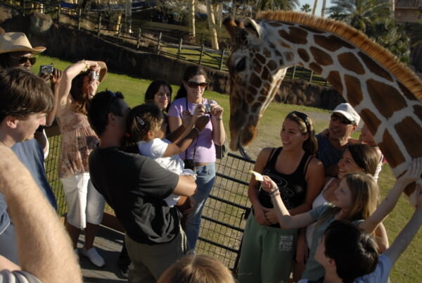07BNEA FloridaBuschGardens 057