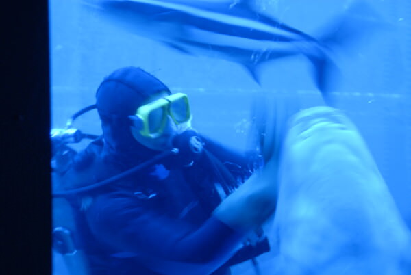 07BNEA FloridaTarponSpringsAquarium 13