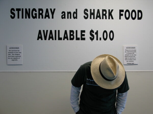 07BNEA FloridaTarponSpringsAquarium 24