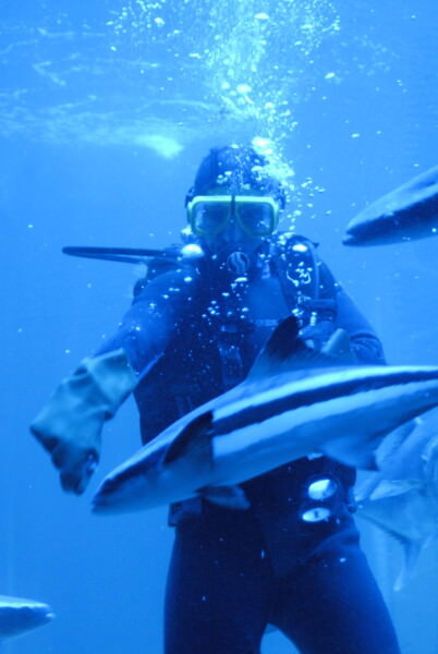 07BNEA FloridaTarponSpringsAquarium 28