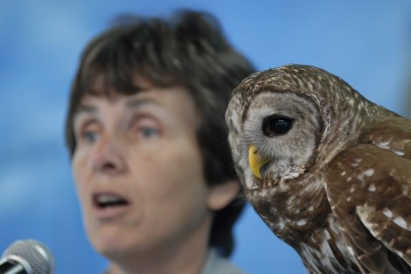 07BNEAhomosassaSprings 02