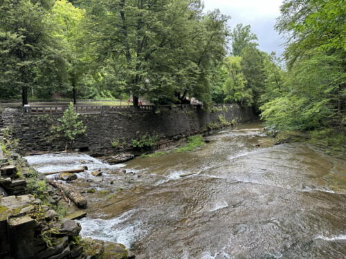 23buffalo-treman-state-park 07