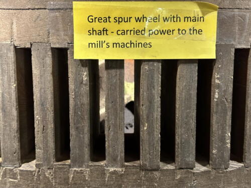 23buffalo-treman-state-park 11