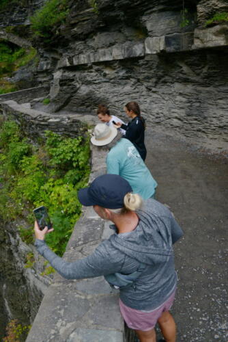 23buffalo-watkins 031