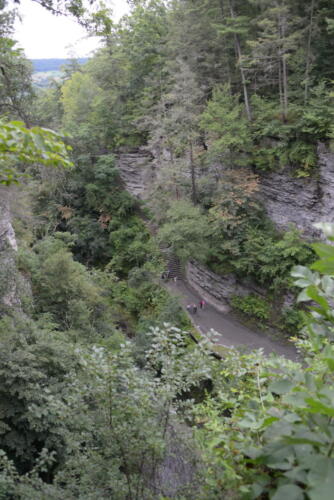 23buffalo-watkins 034