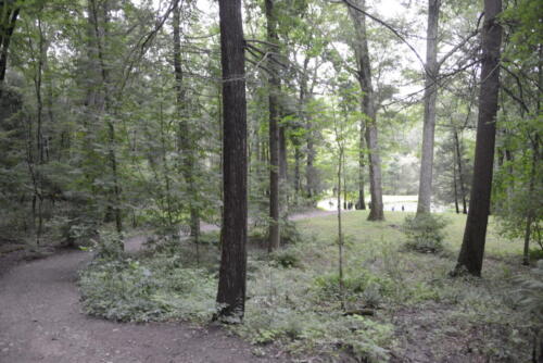 23buffalo-watkins 036