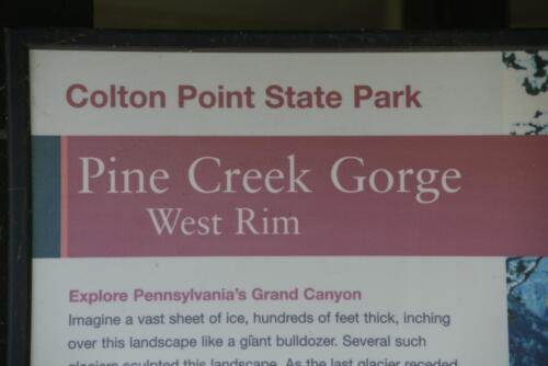 23-buffalo-pine-creek 001