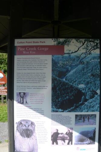 23-buffalo-pine-creek 002