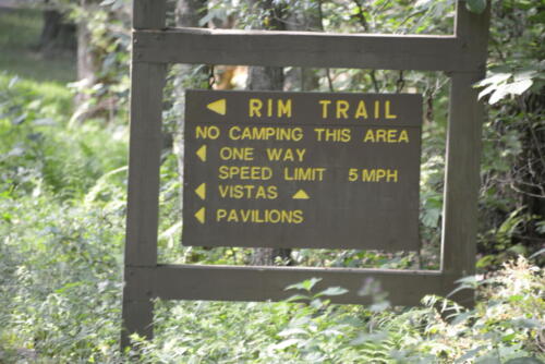 23-buffalo-pine-creek 003