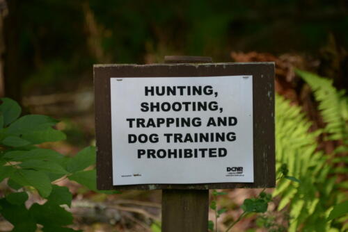 23-buffalo-pine-creek 004