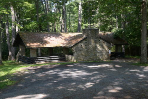 23-buffalo-pine-creek 007