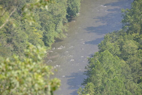 23-buffalo-pine-creek 009